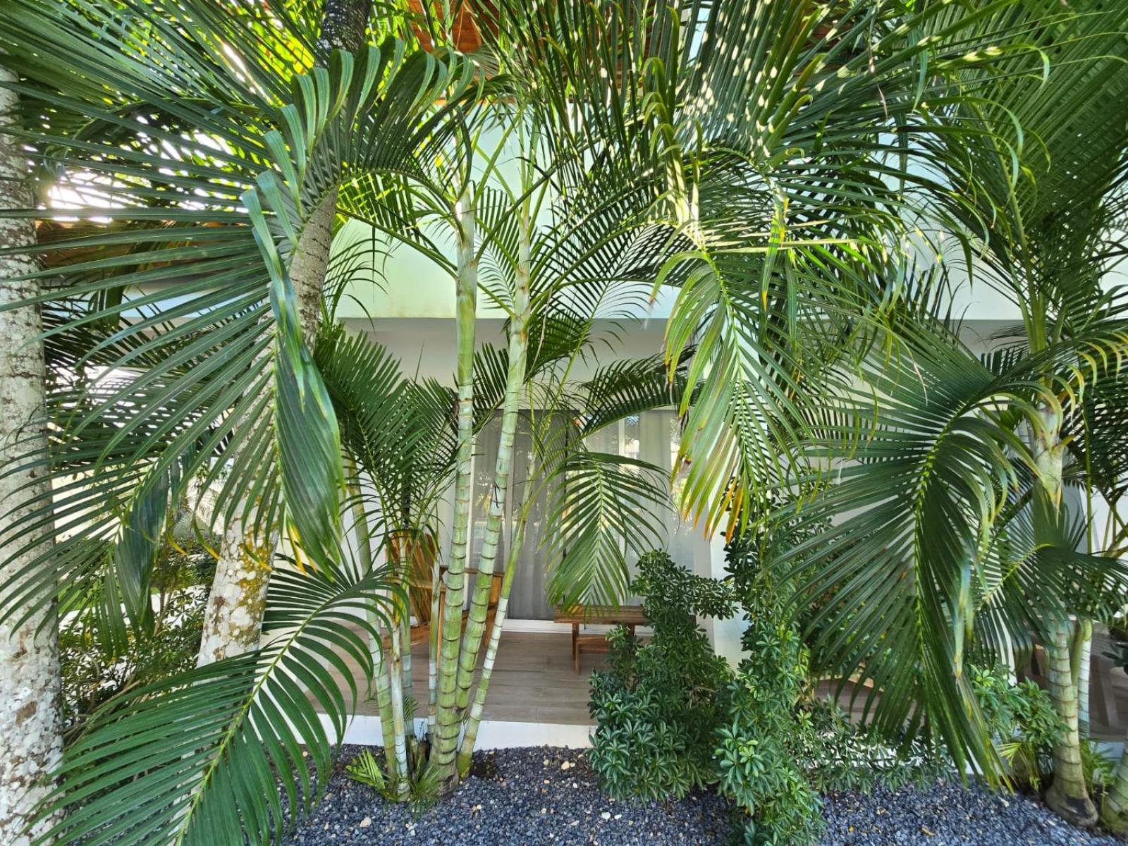 Residencial Paraiso Bayahibe Eksteriør bilde